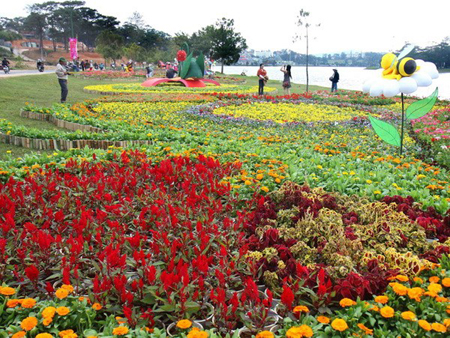 Các loài hoa khoe sắc bên hồ Xuân Hương.